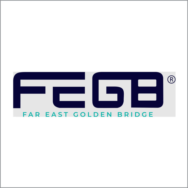 1fegb-sat